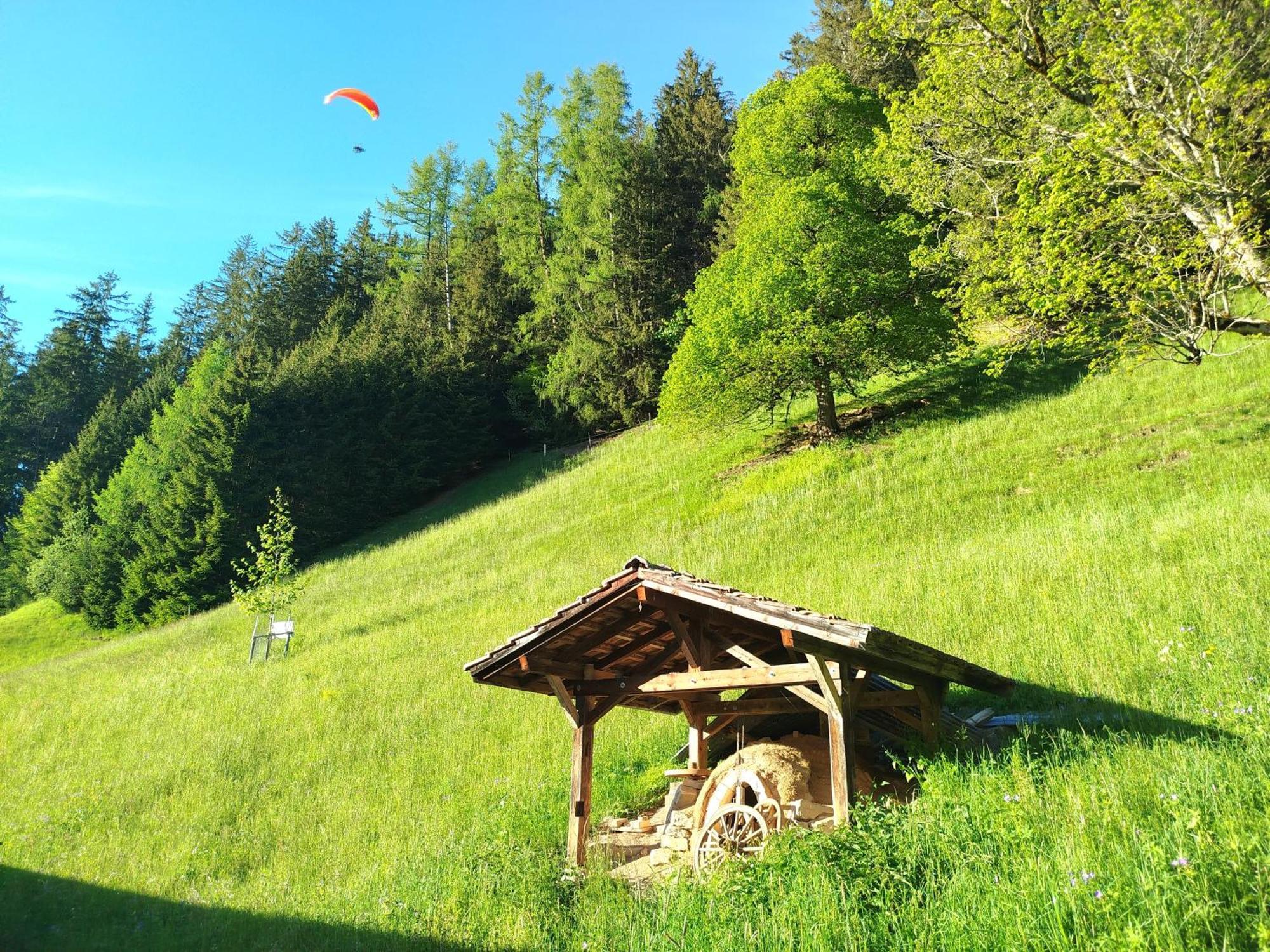 Sonnenhof Wengen - First Hotel Of Βένγκεν Εξωτερικό φωτογραφία