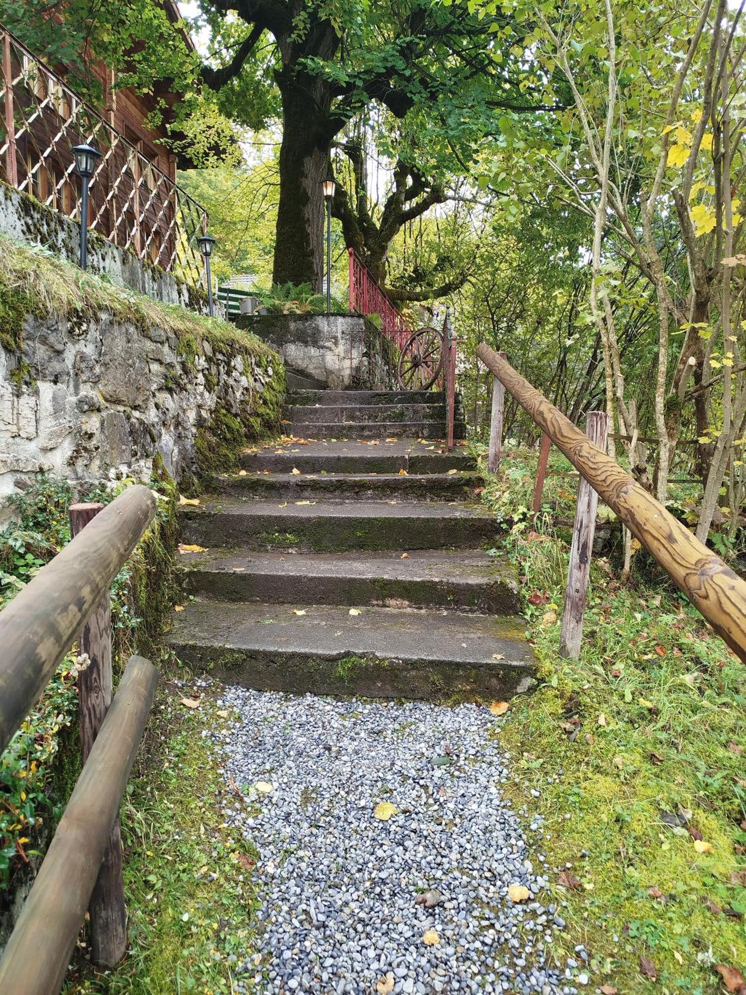 Sonnenhof Wengen - First Hotel Of Βένγκεν Εξωτερικό φωτογραφία