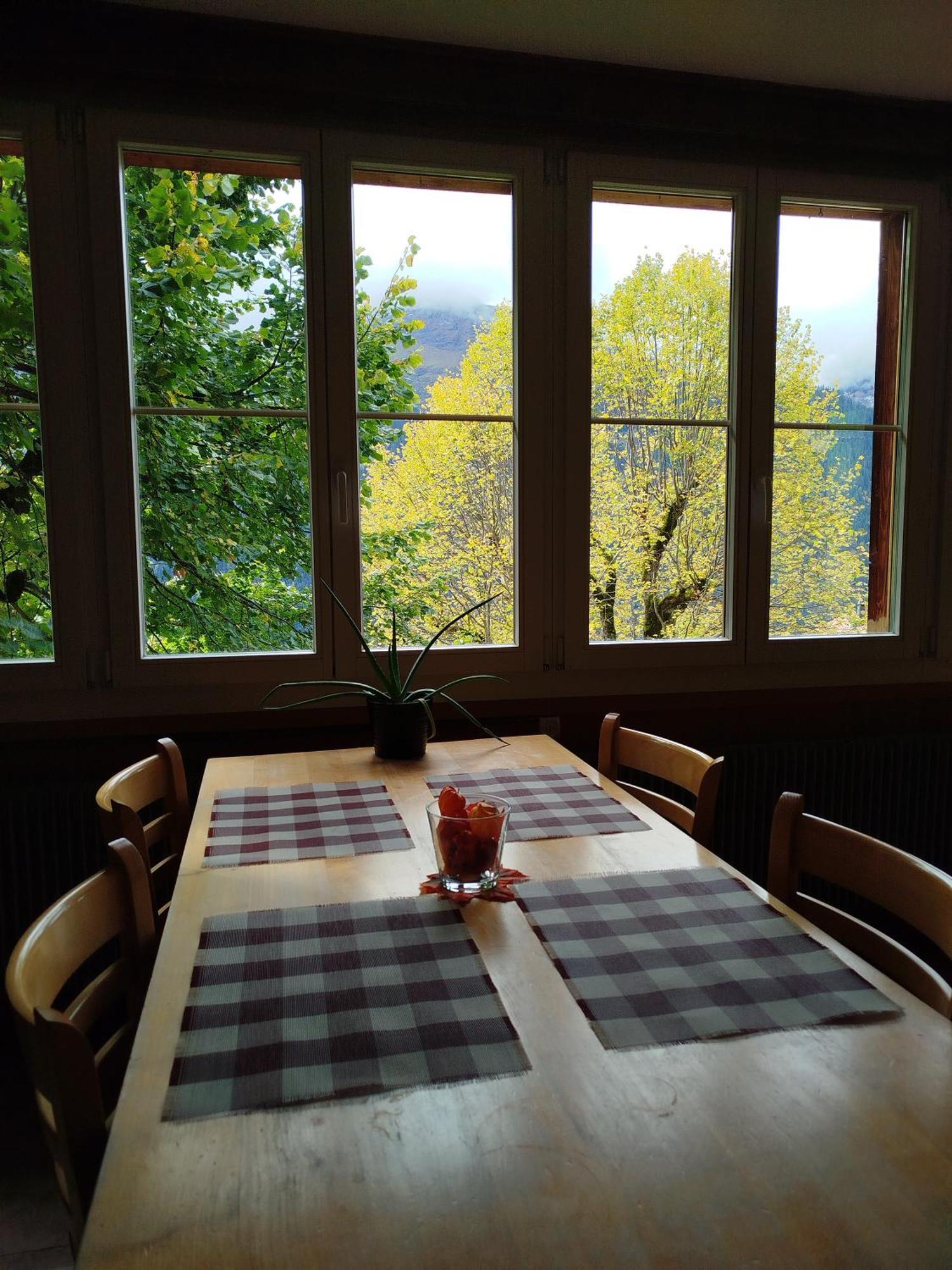 Sonnenhof Wengen - First Hotel Of Βένγκεν Εξωτερικό φωτογραφία